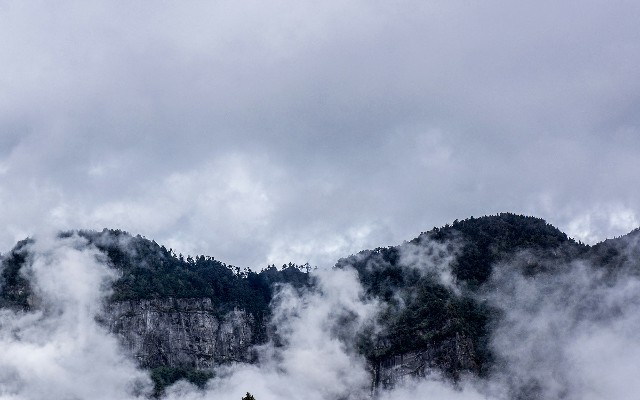 拼多多补单软件
