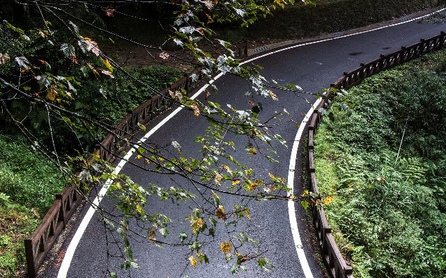 拼多多补单软件