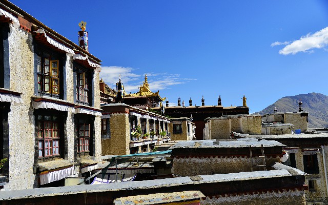 拼多多补单软件