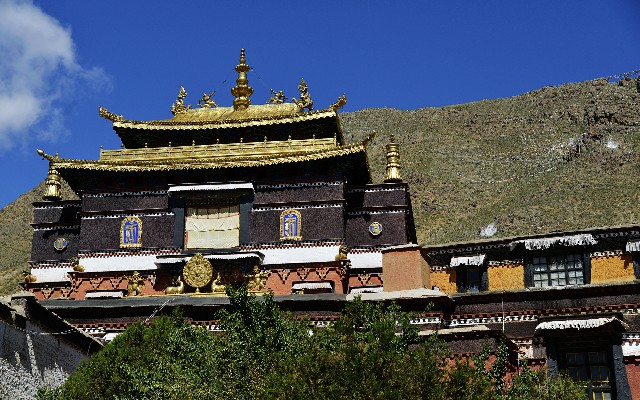 拼多多补单软件