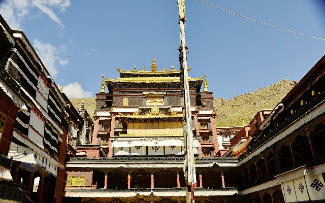 拼多多补单软件