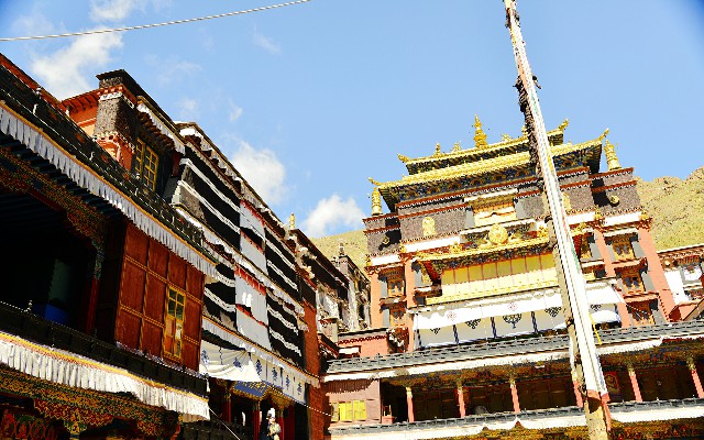 拼多多补单软件