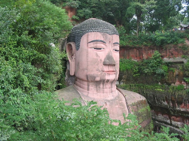 拼多多补单软件