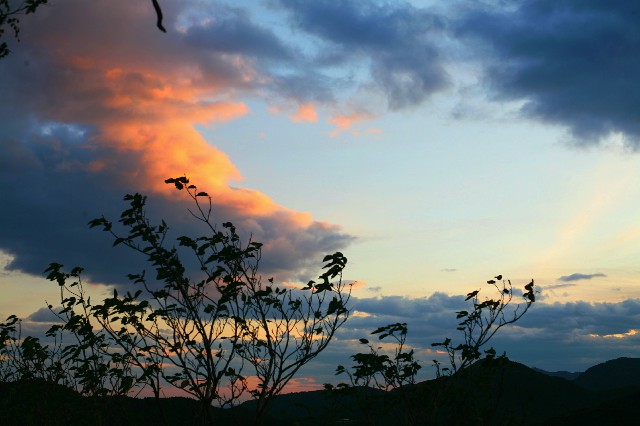 拼多多补单软件