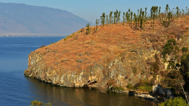 拼多多补单软件