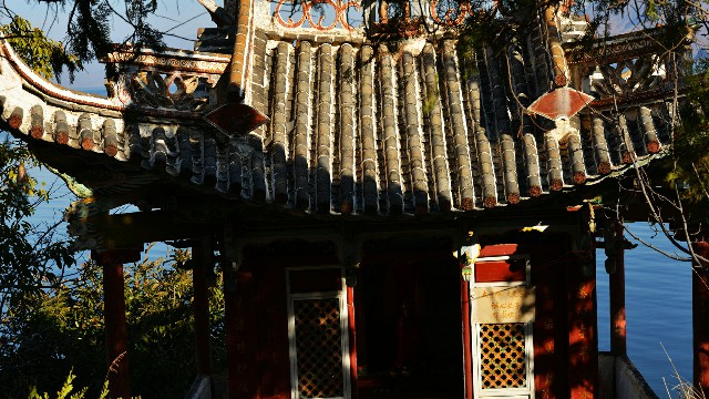 拼多多补单软件