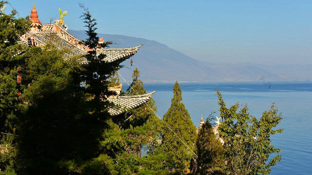 拼多多补单软件