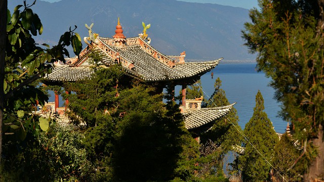 拼多多补单软件