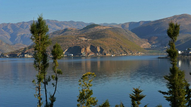 拼多多补单软件