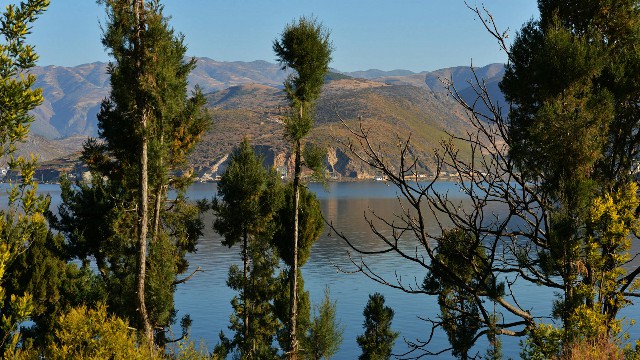 拼多多补单软件