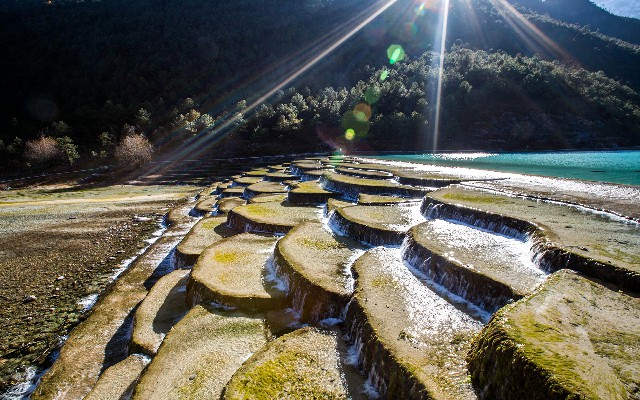 拼多多补单软件