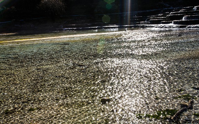 拼多多补单软件