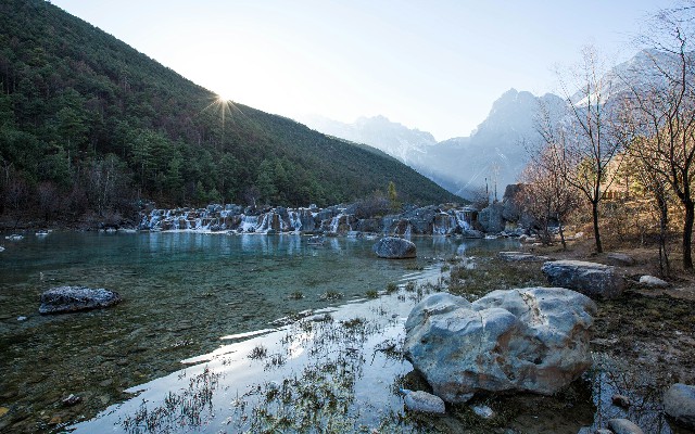 拼多多补单软件