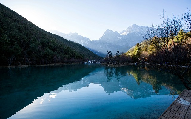 拼多多补单软件