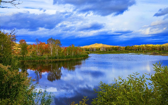 拼多多补单软件
