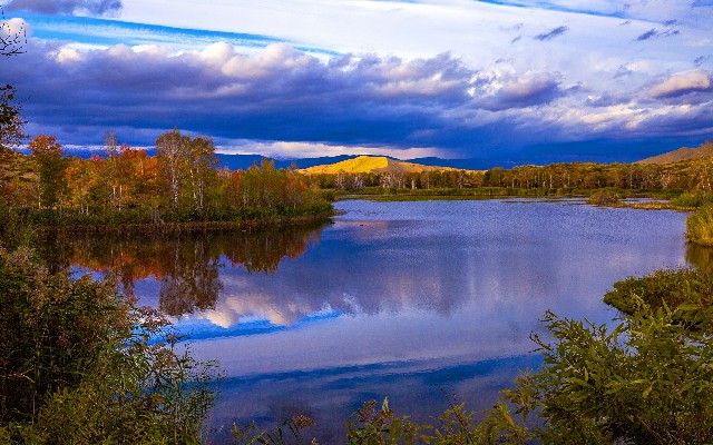 拼多多补单软件