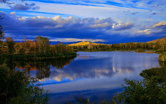 拼多多补单软件