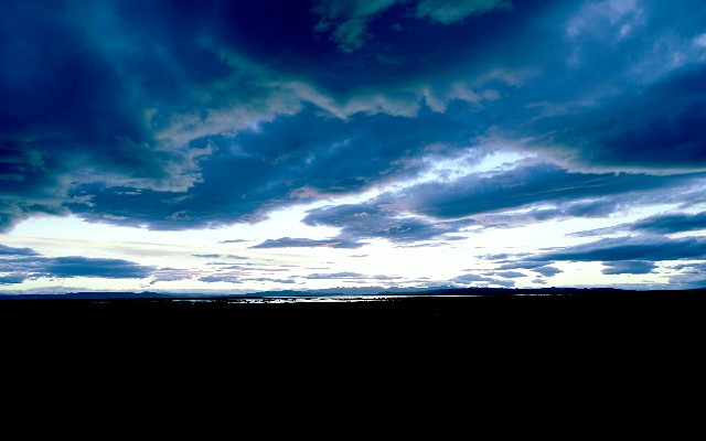 拼多多补单软件