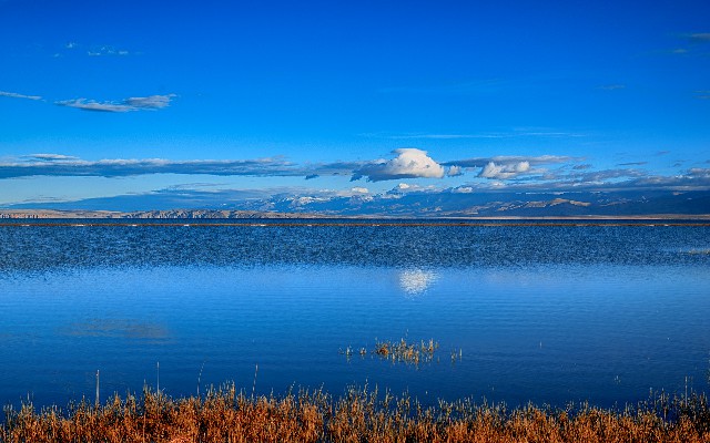 拼多多补单软件