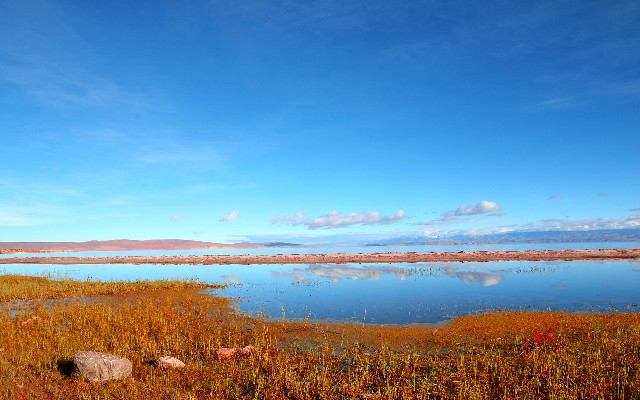 拼多多补单软件