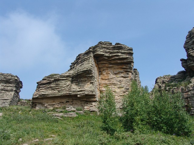 拼多多补单软件