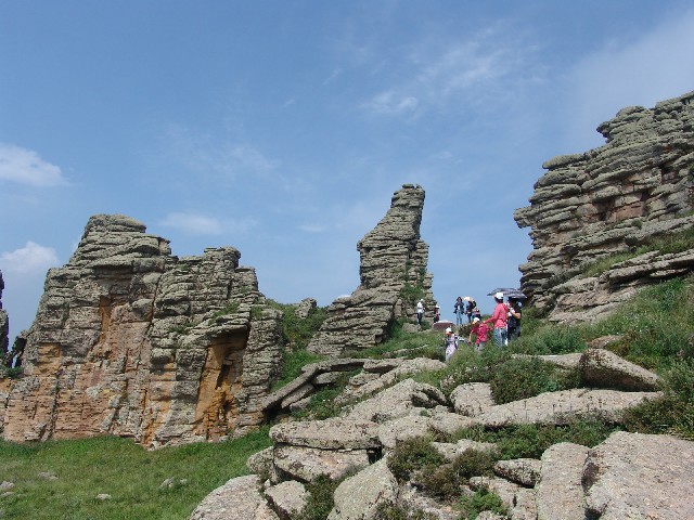 拼多多补单软件