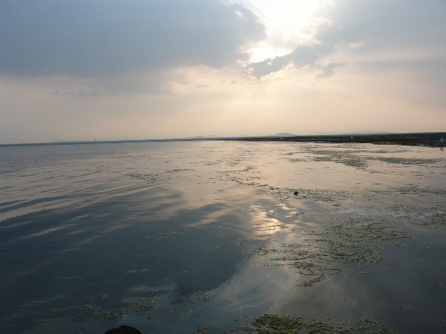 拼多多补单软件