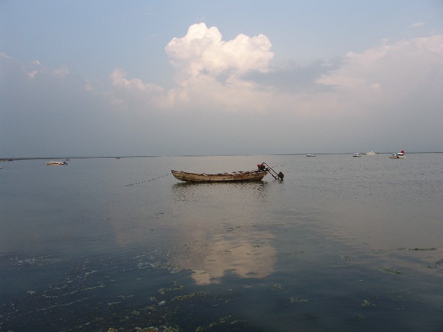 拼多多补单软件