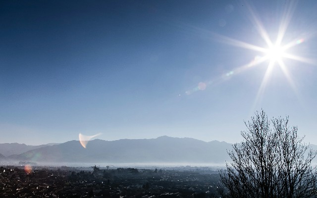 拼多多补单软件