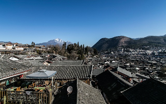 拼多多补单软件