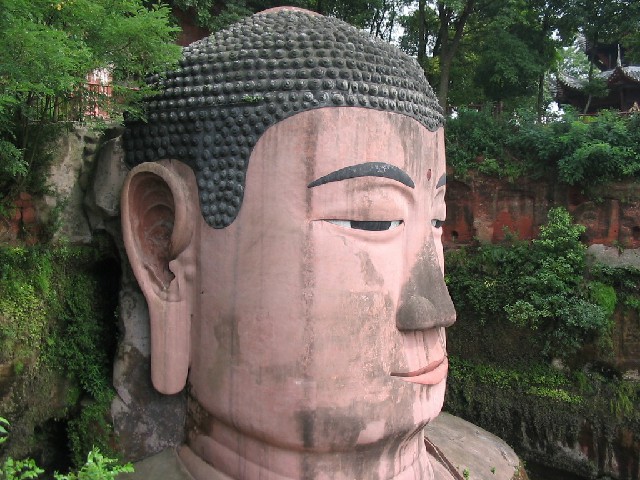 拼多多补单软件