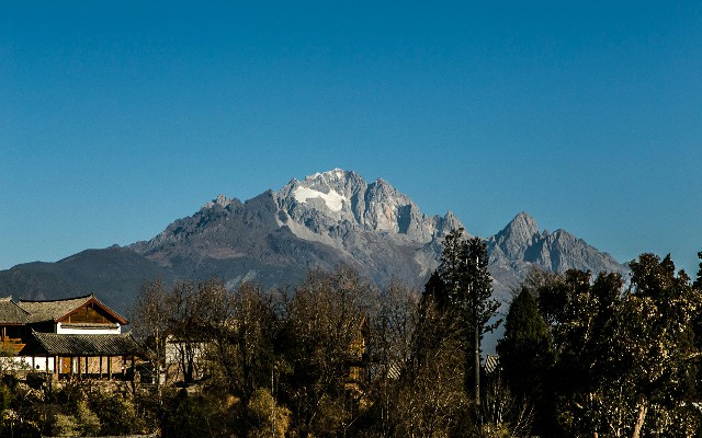 拼多多补单软件