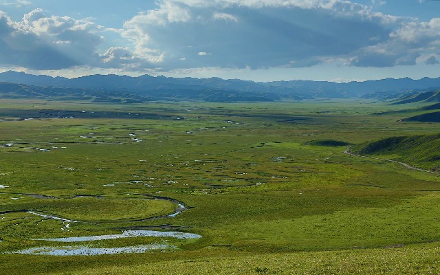 拼多多补单软件