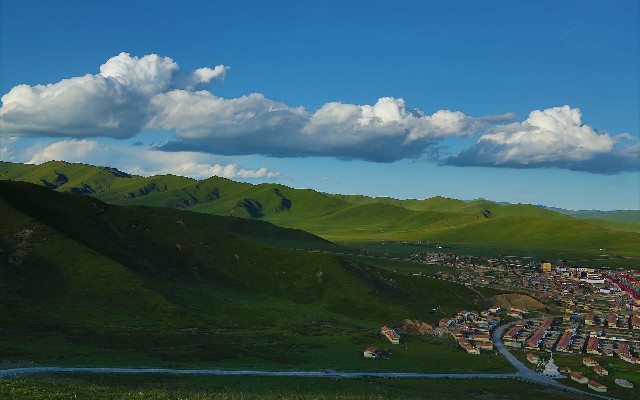 拼多多补单软件