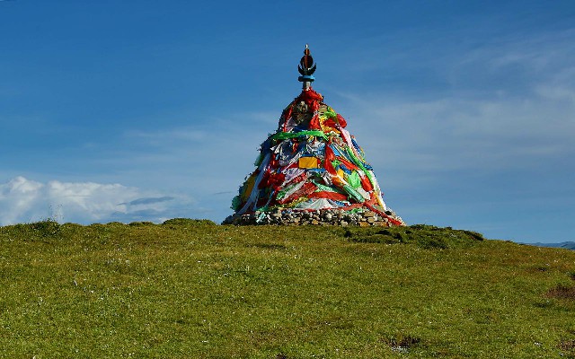 拼多多补单软件