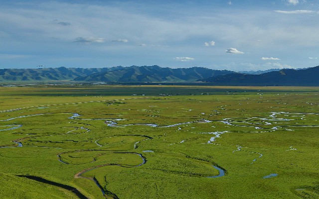 拼多多补单软件