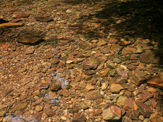 拼多多补单软件