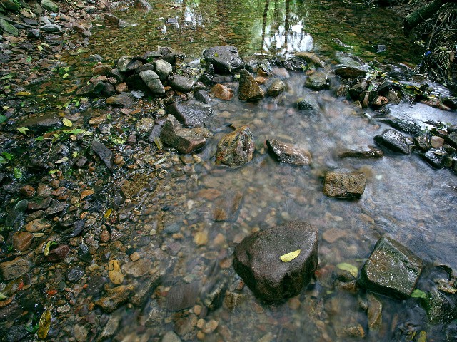 拼多多补单软件
