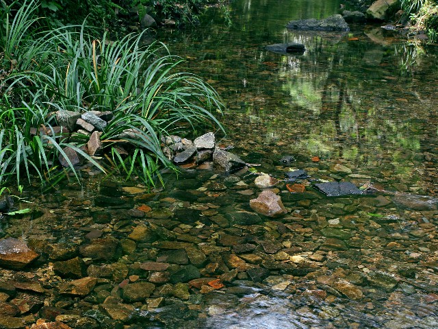 拼多多补单软件