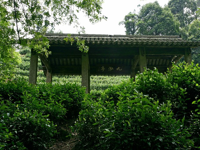 拼多多补单软件