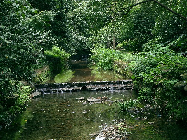 拼多多补单软件
