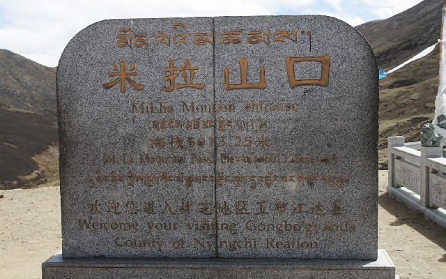 拼多多补单软件