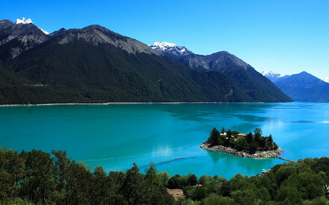 拼多多补单软件