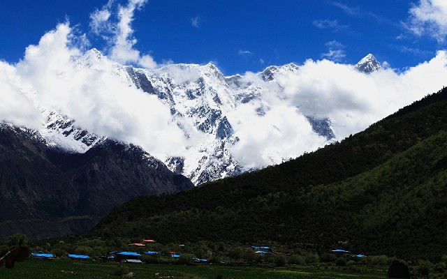 拼多多补单软件