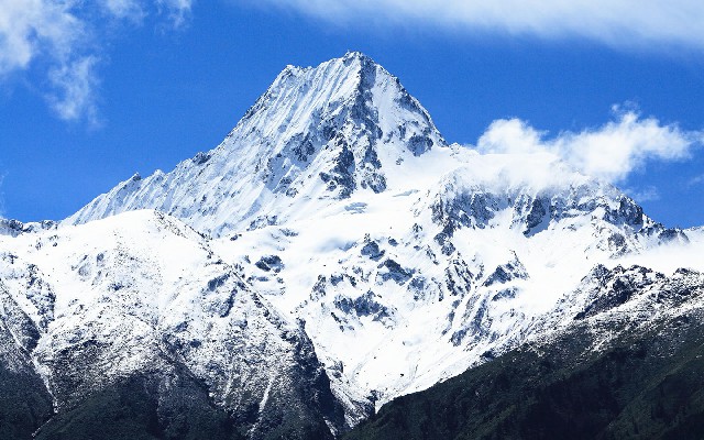 拼多多补单软件