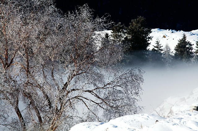 拼多多补单软件