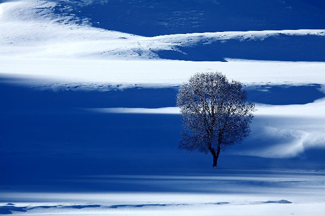 拼多多补单软件