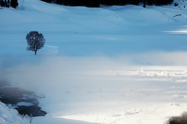 拼多多补单软件