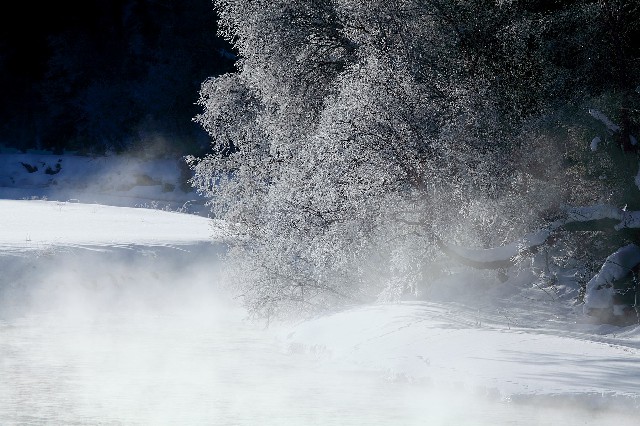 拼多多补单软件