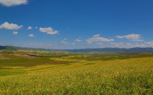 拼多多补单软件